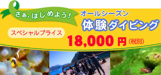 体験ダイビング